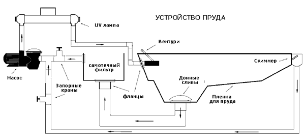 Схема устройства водоема